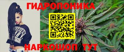 крисы Гусиноозёрск